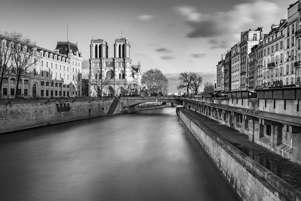 Cathédrale Notre-Dame de Paris