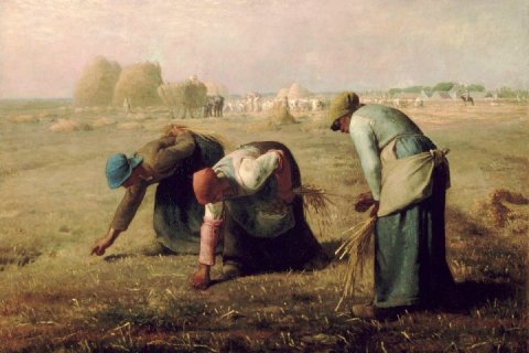 Image d'illustration