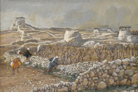Image d'illustration